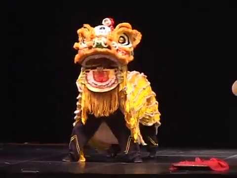 Chinese Lion Dance Captivates Audience